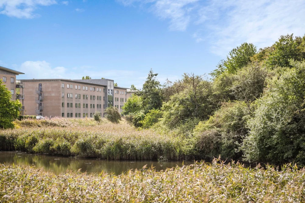 The exterior and green surroundings of Four Points Flex Ballerup